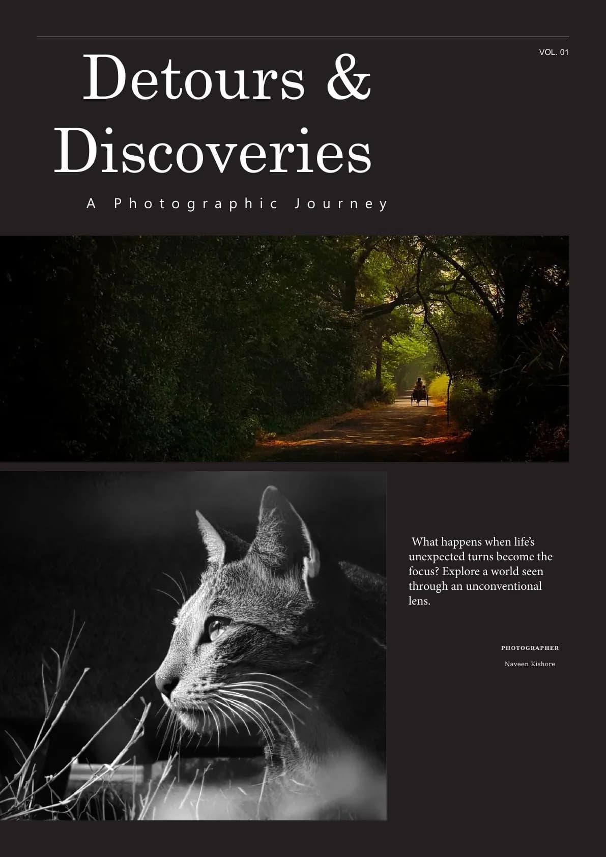 Detours and Discoveries, page 1